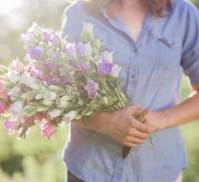 Canterbury Bells Double Mix